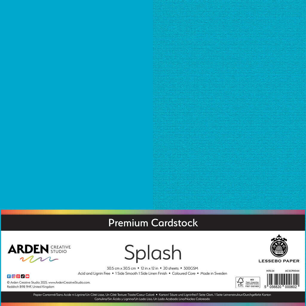 Premium Cardstock-Splash 12in image 0