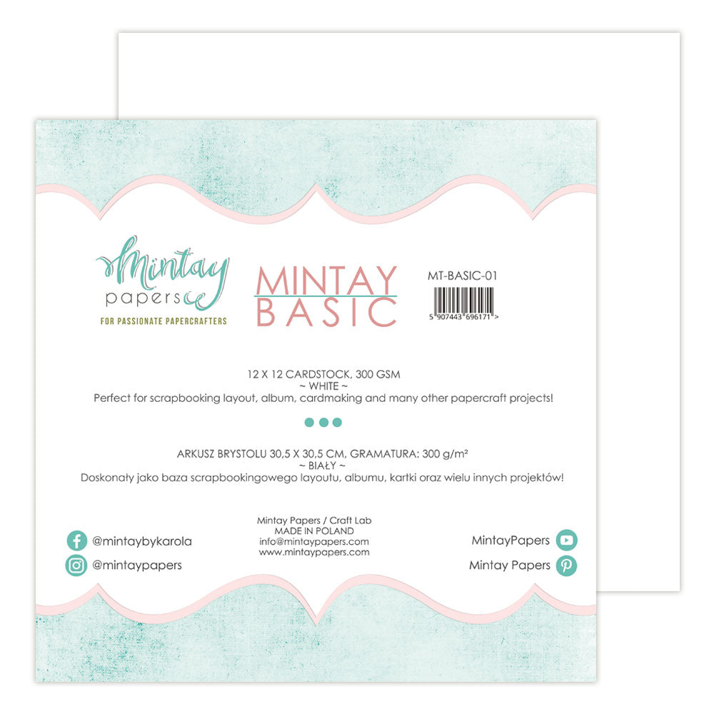 Basic Cardstock-01