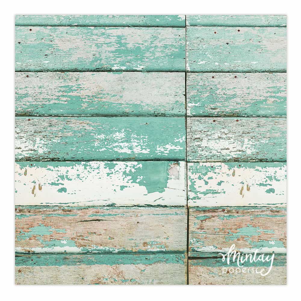 Photo Backdrops- 04