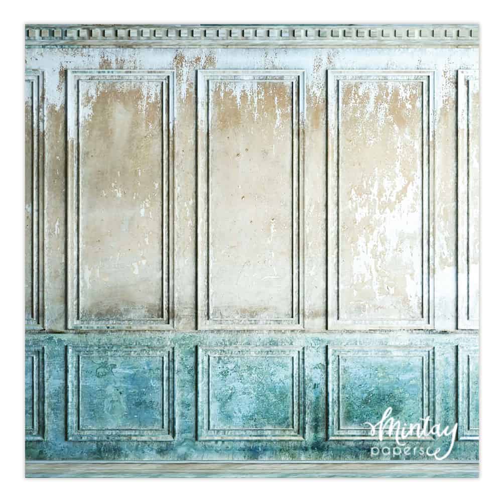 Photo Backdrops- 10