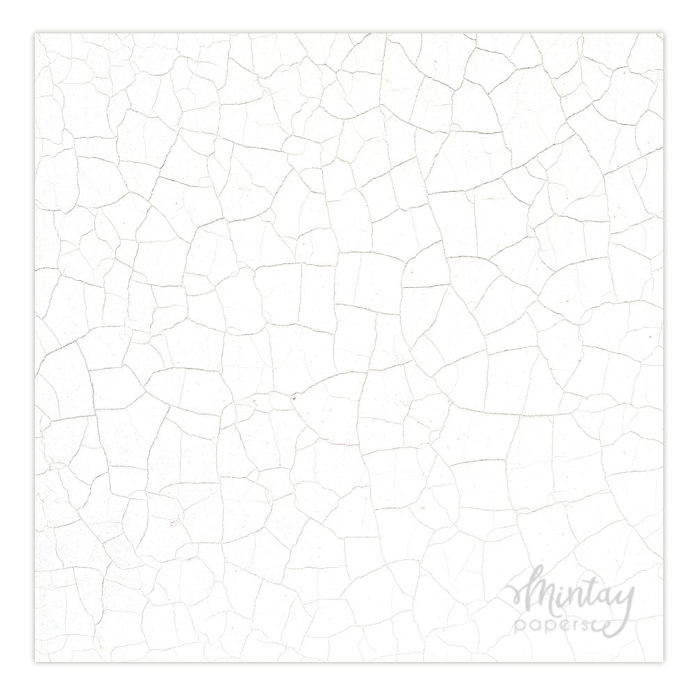 Photo Backdrops- 11