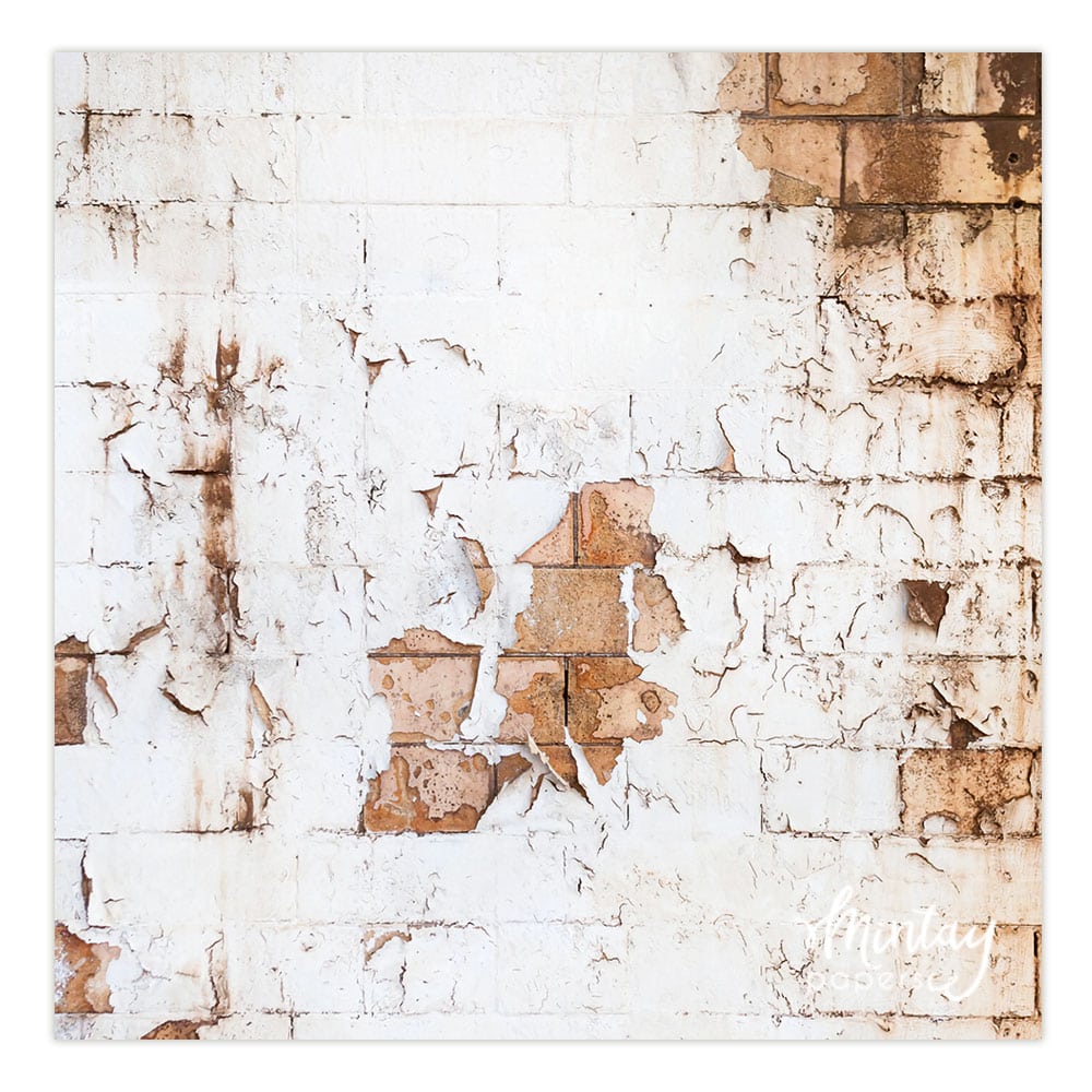 Photo Backdrops- 14