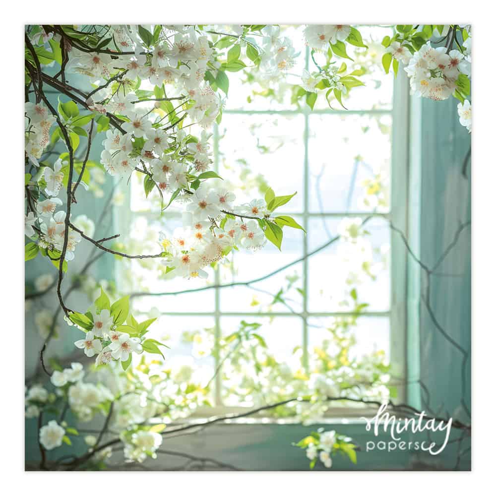 Photo Backdrops- 17