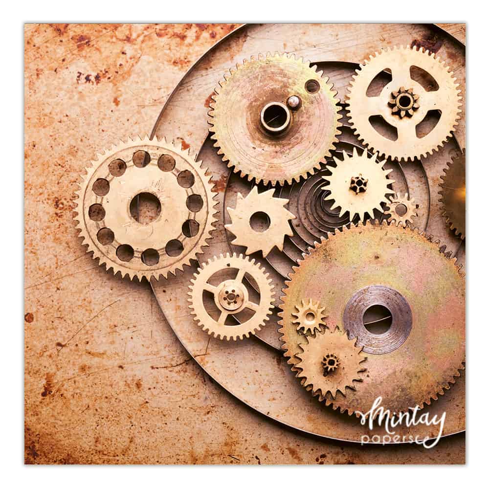 Photo Backdrops- 28