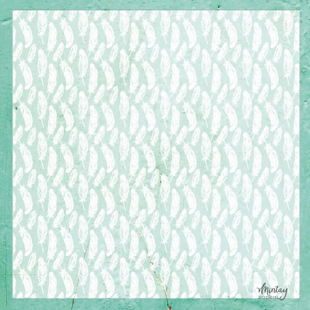 Decorative Vellum-11