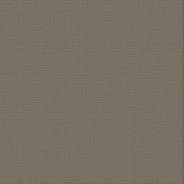 CC HIPPODROME Textured Cardstock - 12 x 12 (216gsm) - 10 Sheets