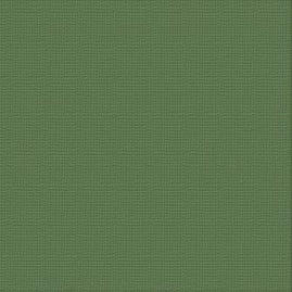 CC CYPRESS PINE Textured Cardstock - 12 x 12 (216gsm) - 10 Sheets