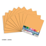 CC LANTANA Textured Cardstock - 12 x 12 (216gsm) - 10 Sheets