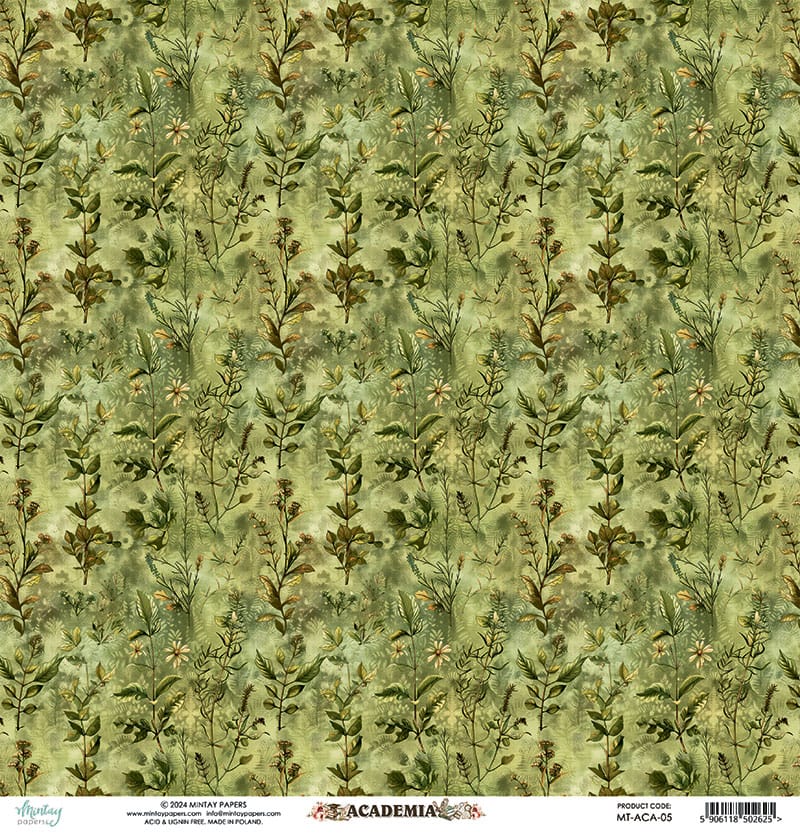Academia-05 image 2