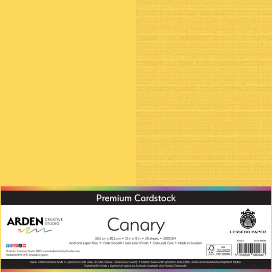 Premium Cardstock-Canary 12in image 0