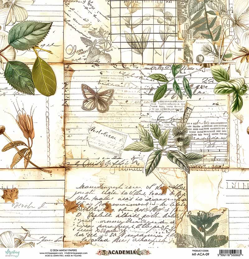 Academia -09 image 2