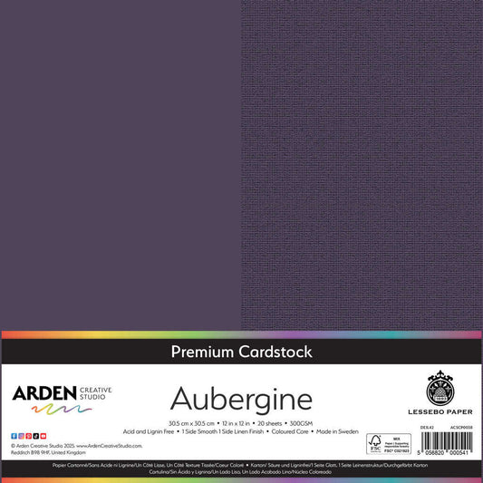 Premium Cardstock-Aubergine 12in image 0