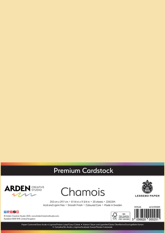 Premium Cardstock-Chamois image 0