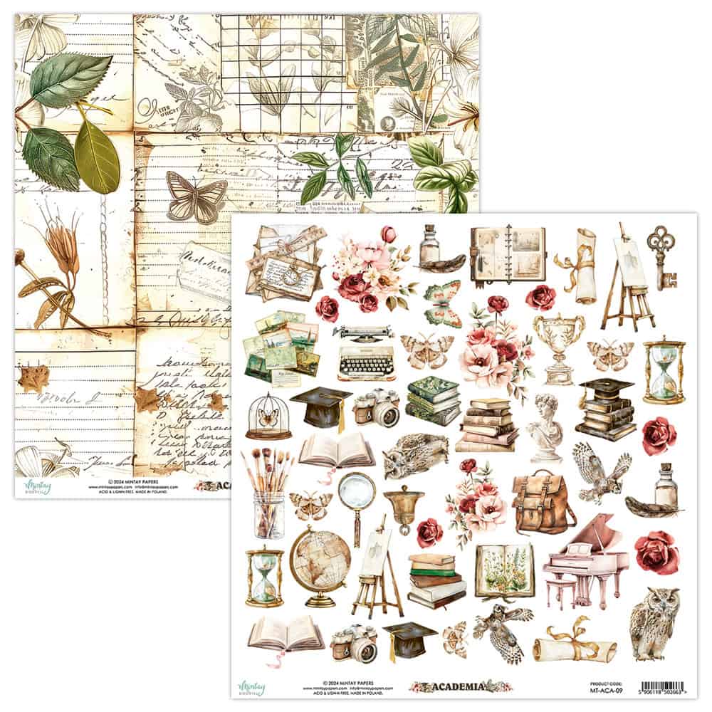 Academia -09 image 0