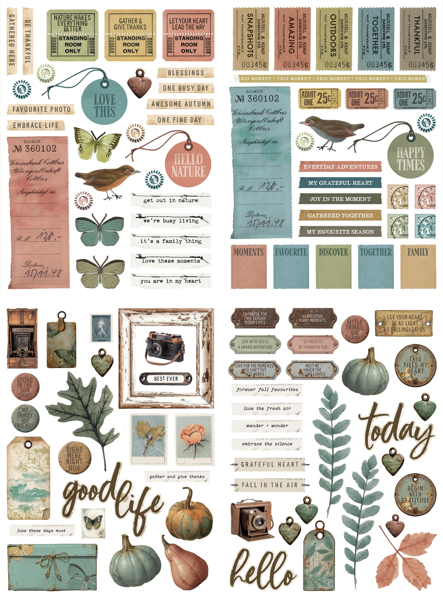 AMBER LEDGERS Essential Laser Cuts PREORDER SEPT 2026