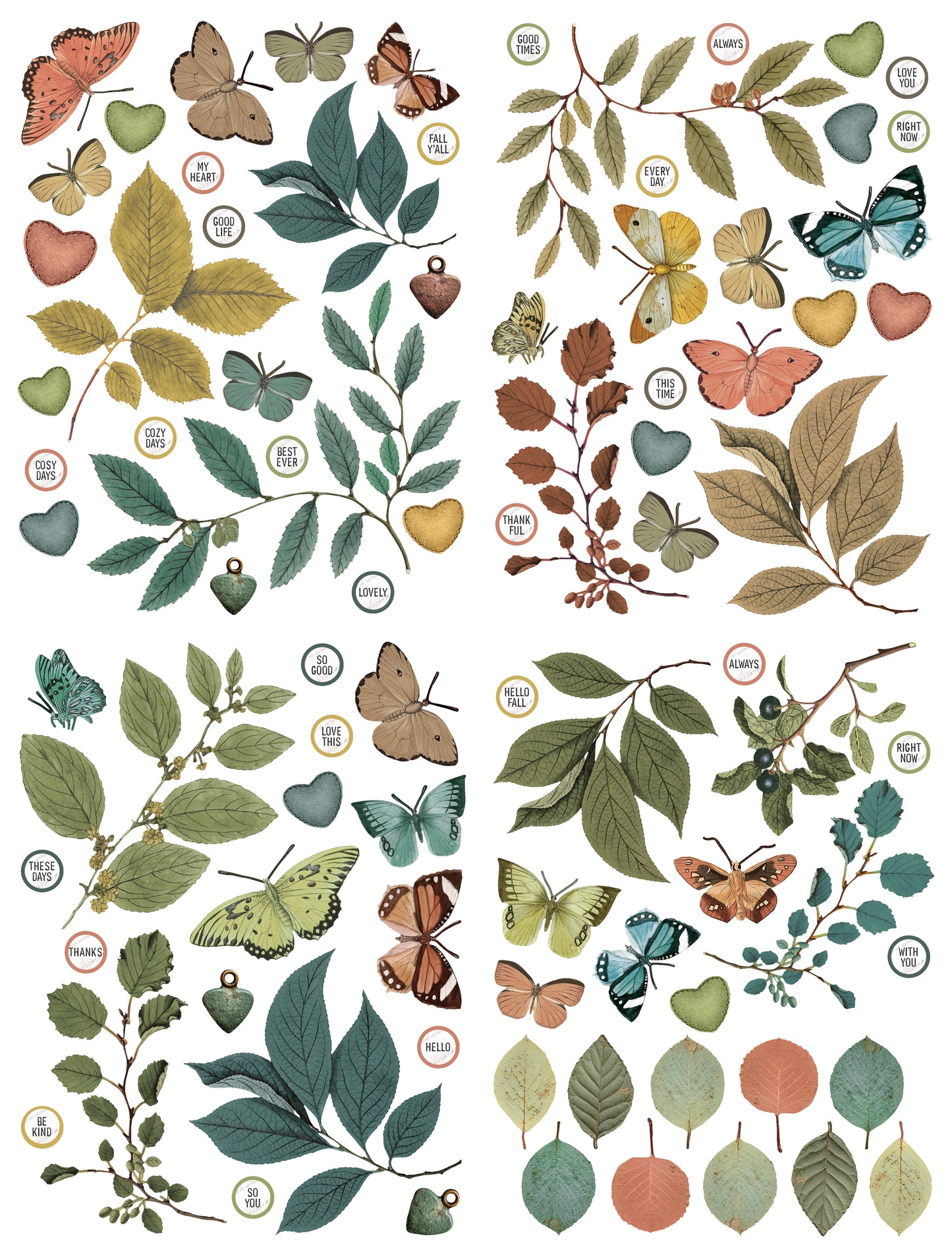 AMBER LEDGERS Foliage Laser Cuts PREORDER SEPT 2026