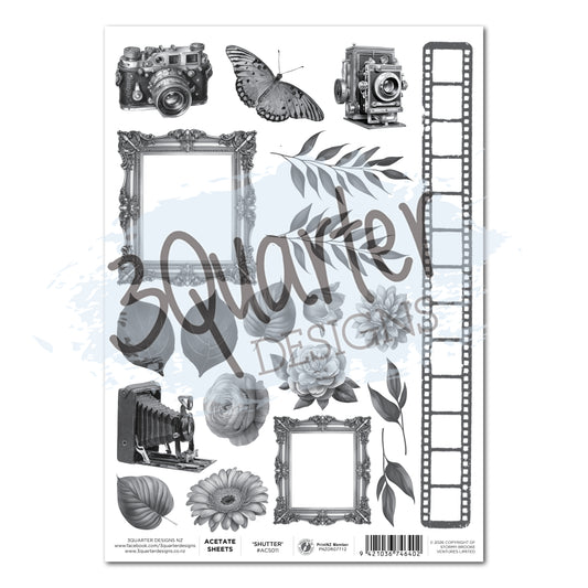 Shutter Glam Acetate (Pack of 3)- July Release