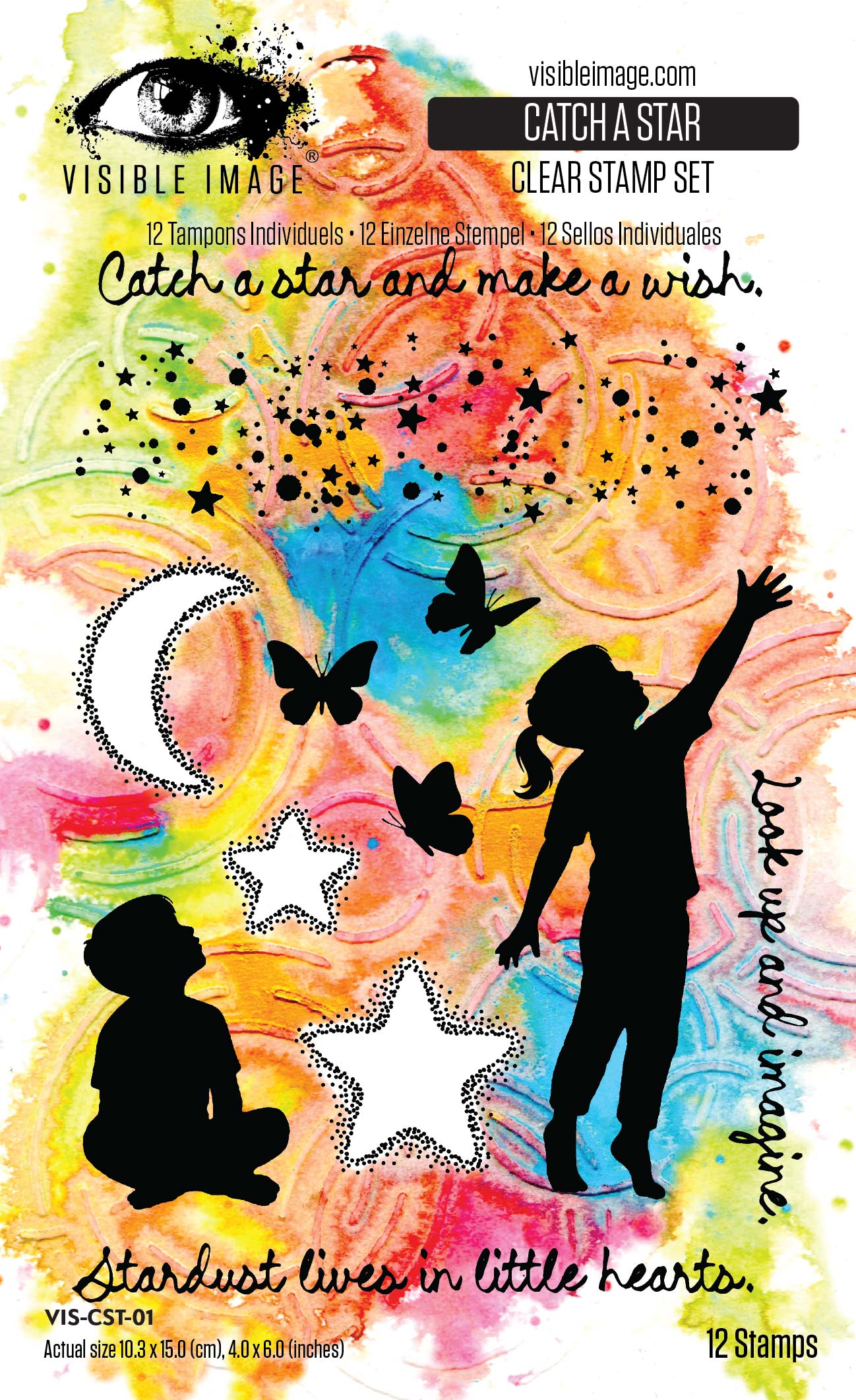 Catch A Star 4in x 6in Stamp Set