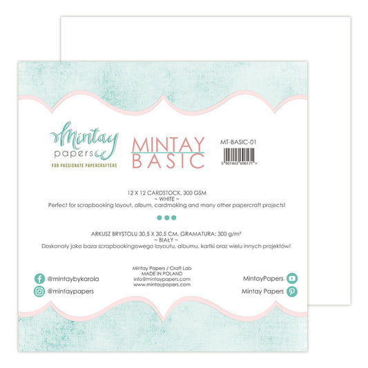 Basic Cardstock-01