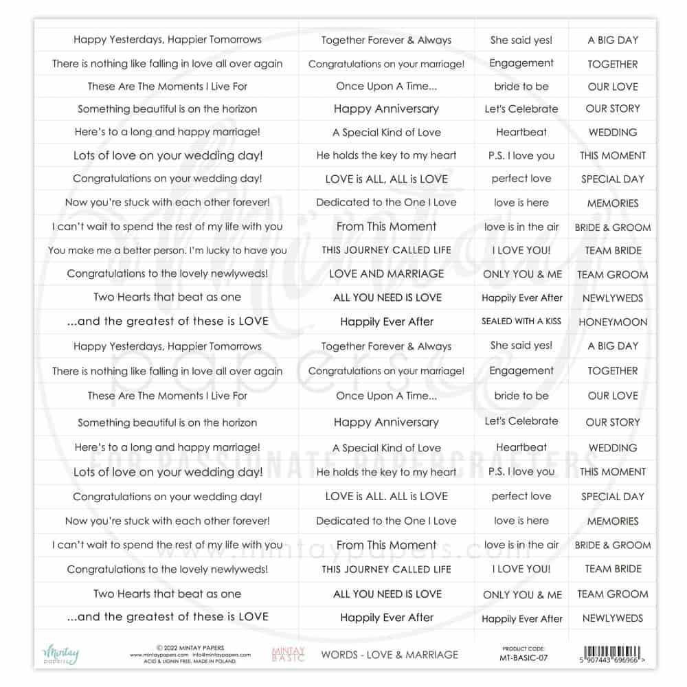 Basic Sentiment sheet -07