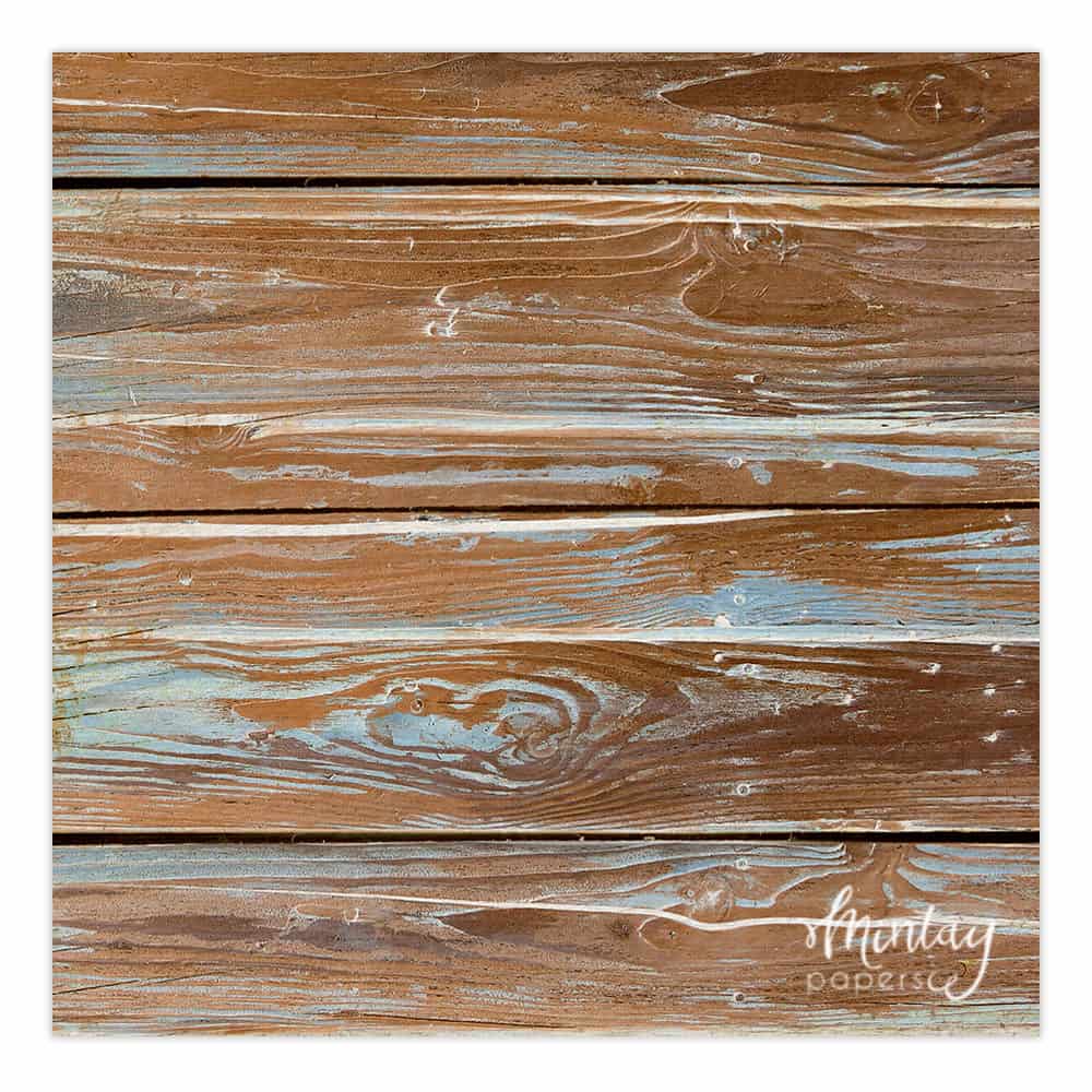 Photo Backdrops- 01