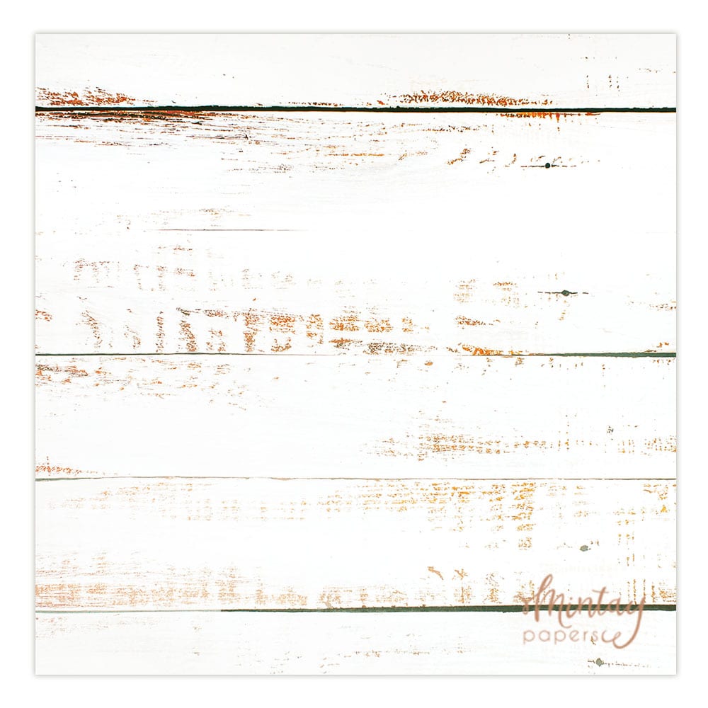 Photo Backdrops- 02