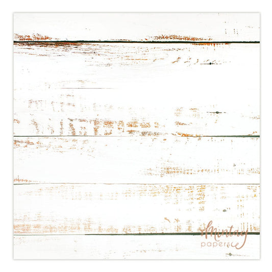 Photo Backdrops- 02