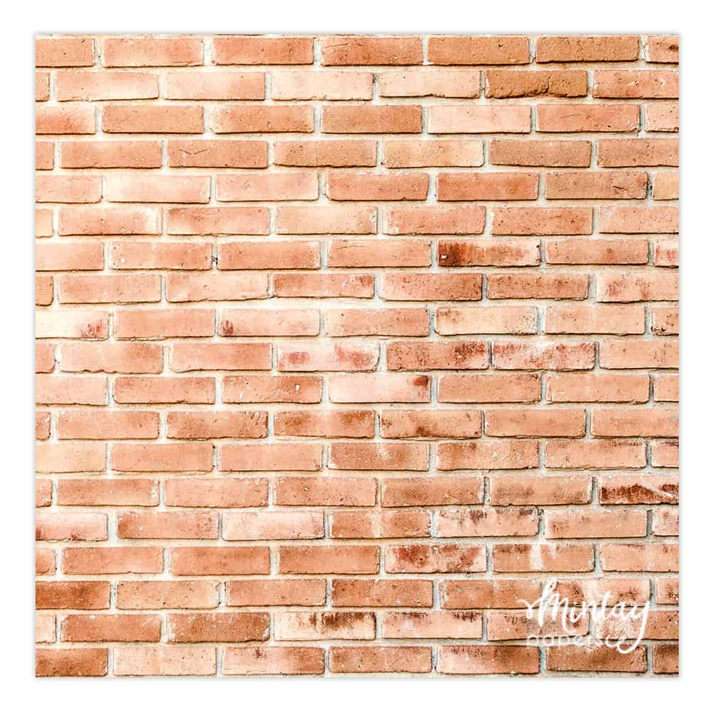 Photo Backdrops- 08
