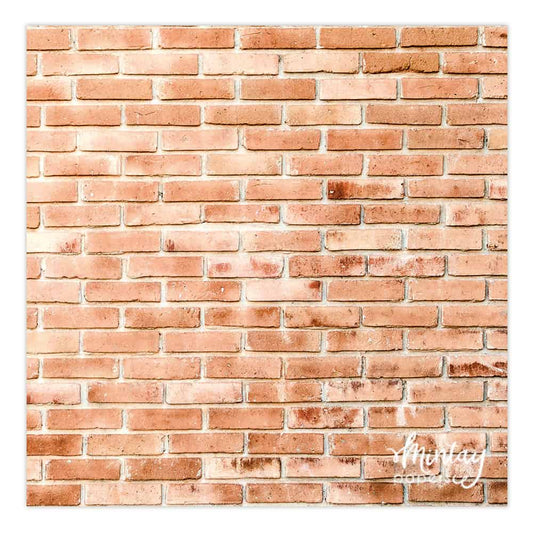 Photo Backdrops- 08
