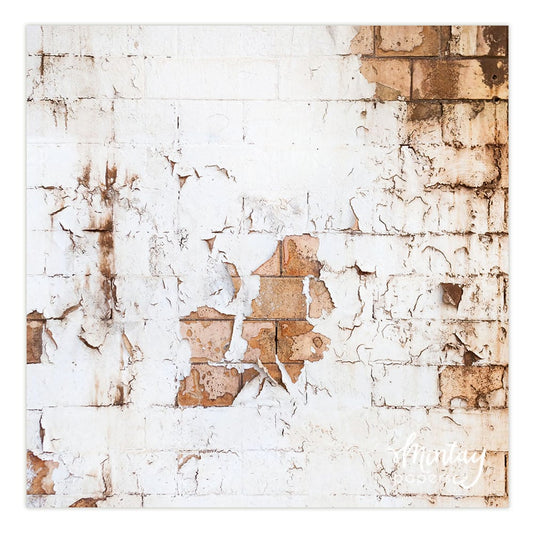 Photo Backdrops- 14