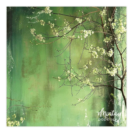 Photo Backdrops- 16