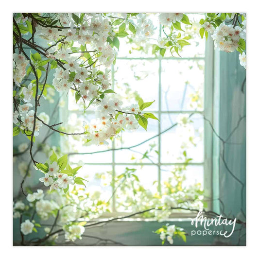 Photo Backdrops- 17