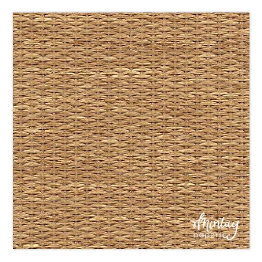 Photo Backdrops- 19