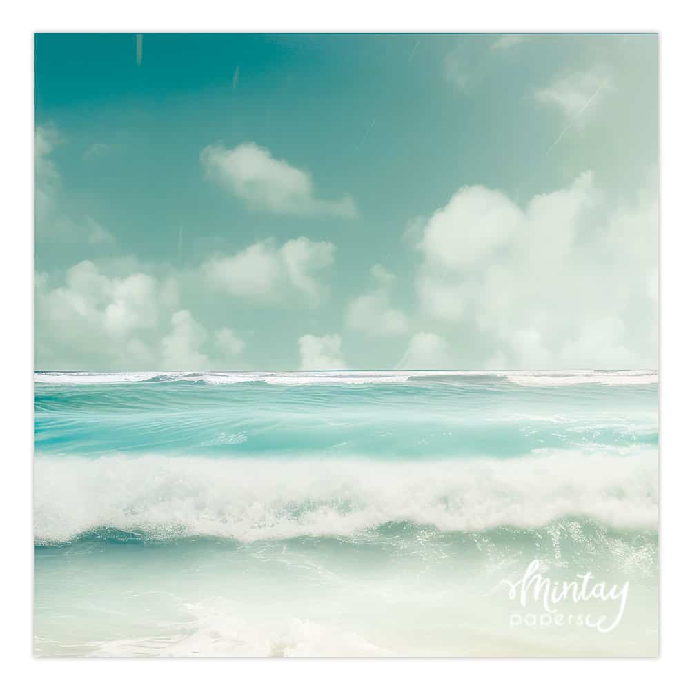 Photo Backdrops- 22
