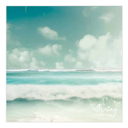 Photo Backdrops- 22