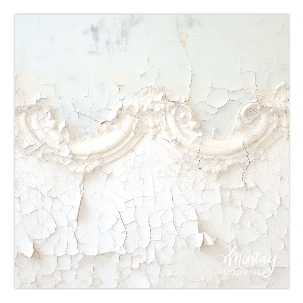 Photo Backdrops- 27
