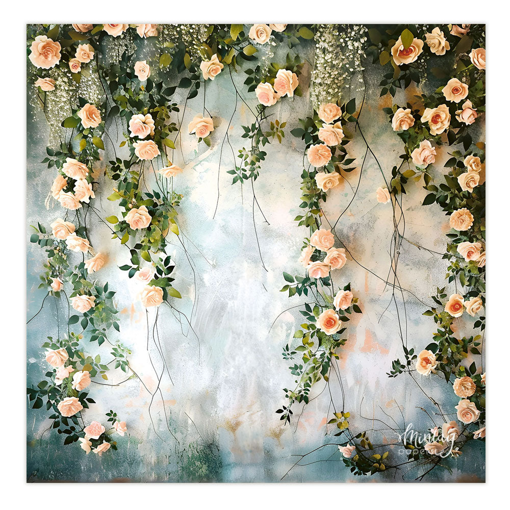 Photo Backdrops- 43