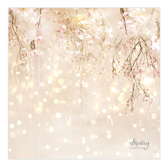 Photo Backdrops- 44