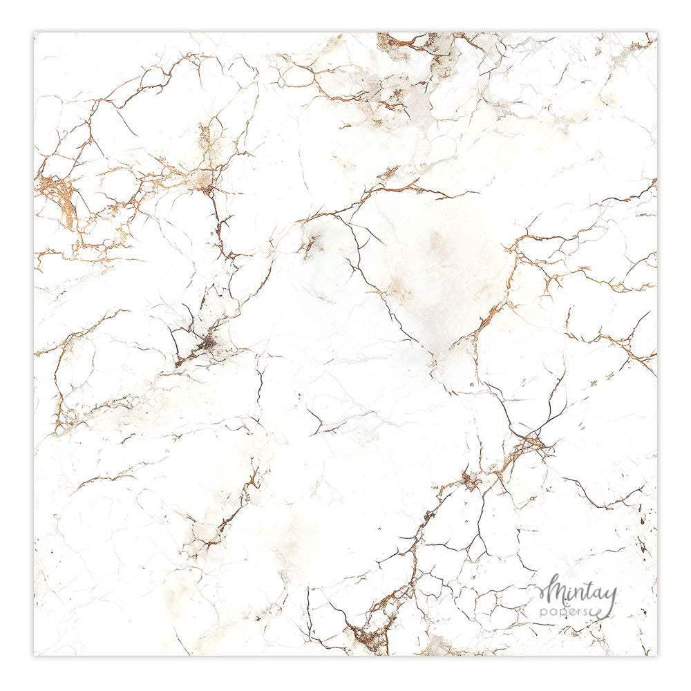 Photo Backdrops- 49