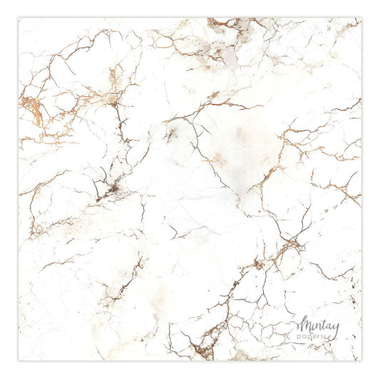 Photo Backdrops- 49
