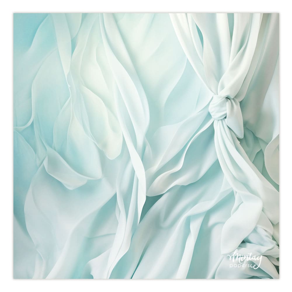 Photo Backdrops- 52
