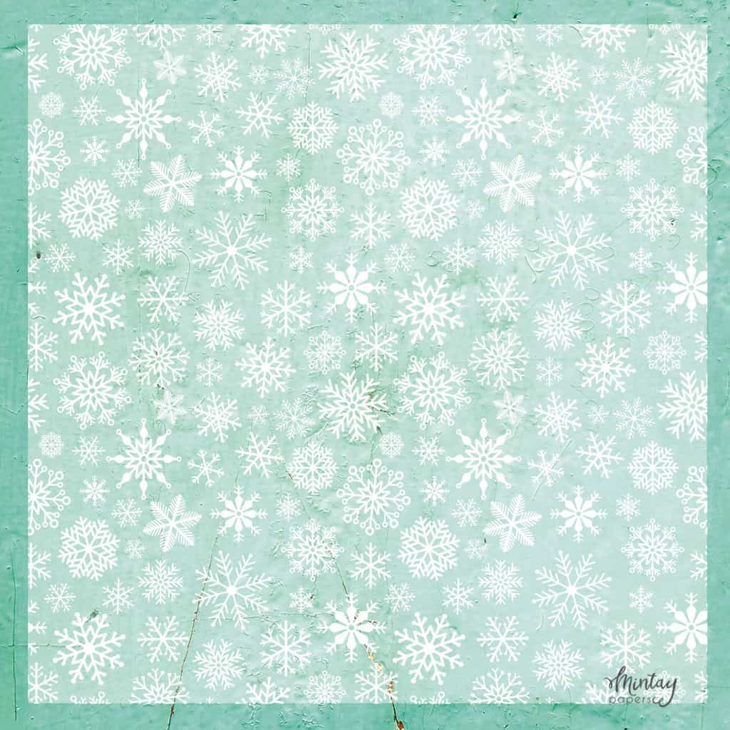 Decorative Vellum-08