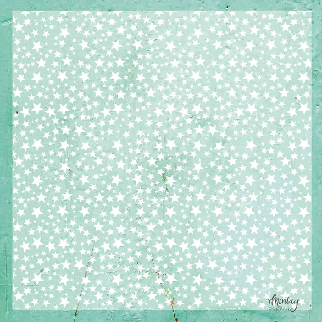 Decorative Vellum-12