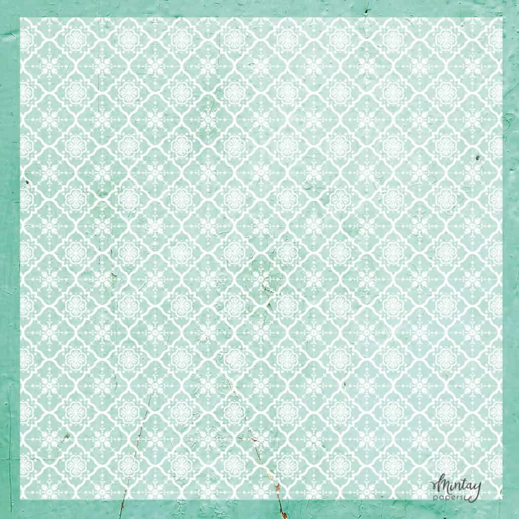 Decorative Vellum-13