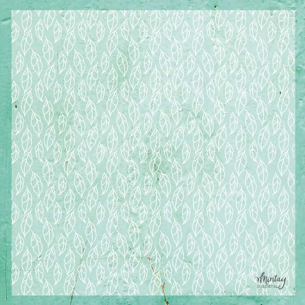 Decorative Vellum-15