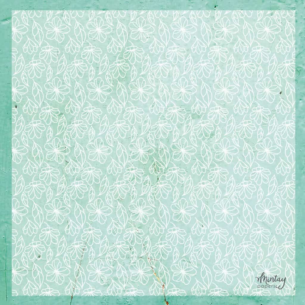 Decorative Vellum-16