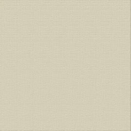 CC DELICATE MEDLAR Textured Cardstock - 12 x 12 (216gsm) - 10 Sheets