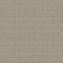 CC SILVER STAR Textured Cardstock - 12 x 12 (216gsm) - 10 Sheets