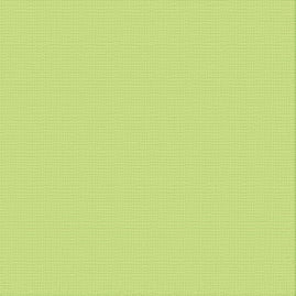CC MANTIS Textured Cardstock - 12 x 12 (216gsm) - 10 Sheets