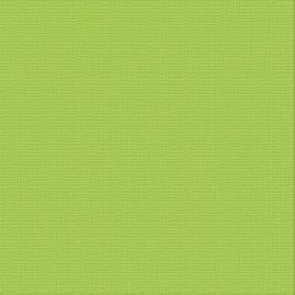 CC CHRYSALIS Textured Cardstock - 12 x 12 (216gsm) - 10 Sheets